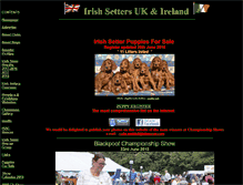 Tablet Screenshot of irishsetter.org.uk